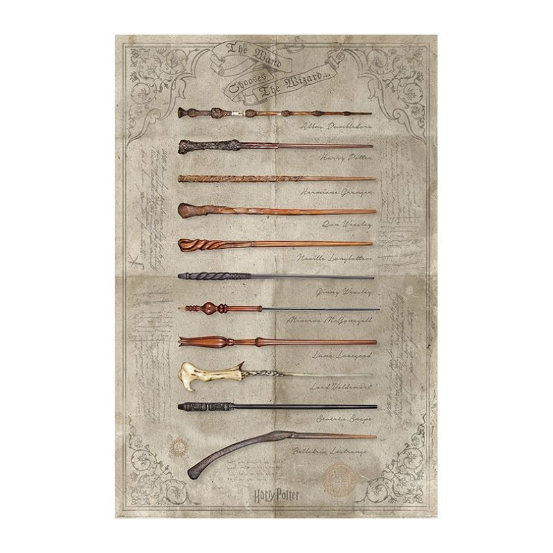 Pyramid International Harry Potter The Wand Chooses The Wizard - 4.41 oz. / m² paper 61 x 91.5 cm