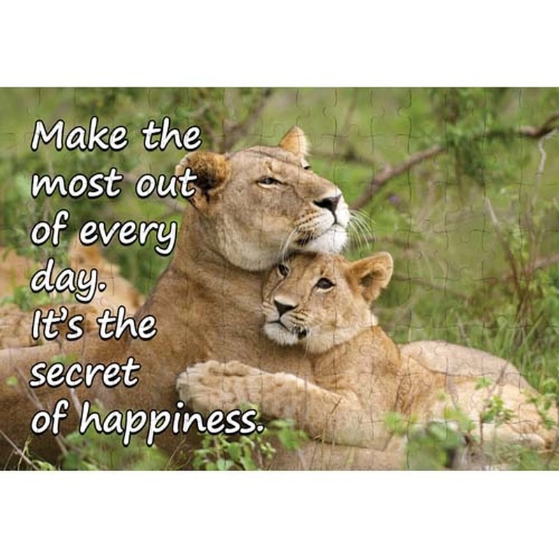 Ajooba Dubai Motivation Puzzle (7690)