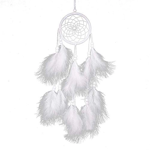 Dreamcatcher - Siderosphere, feathers, lines, wood beads.