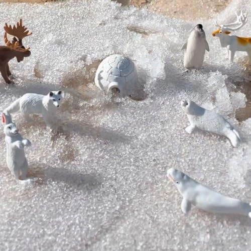 Harp Seal + Husky + Caribou + Arctic Rabbit + Killer Whale + Walrus + Arctic Fox + Beluga Whale + Igloo + Polar Bear - Arctic - 10 pcs