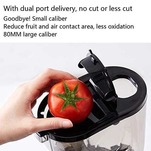 Wide Chute Slow Masticating Juicer Extractor - 250 watts 500 Milliliters