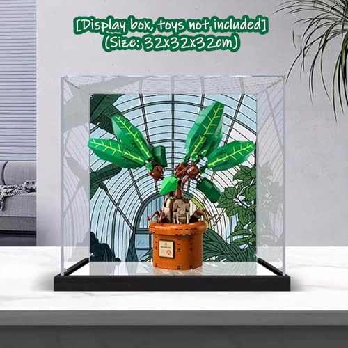 Acrylic Display Case - 30 x 30 x 30 cm Background