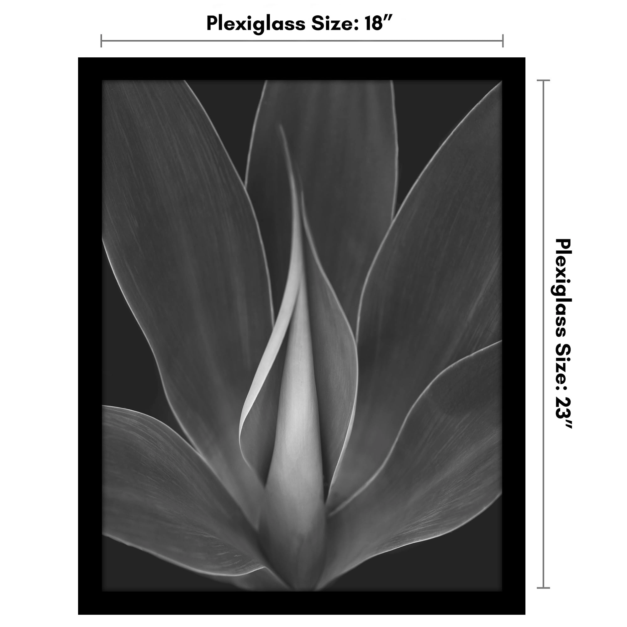 Poster Frame - 18X23