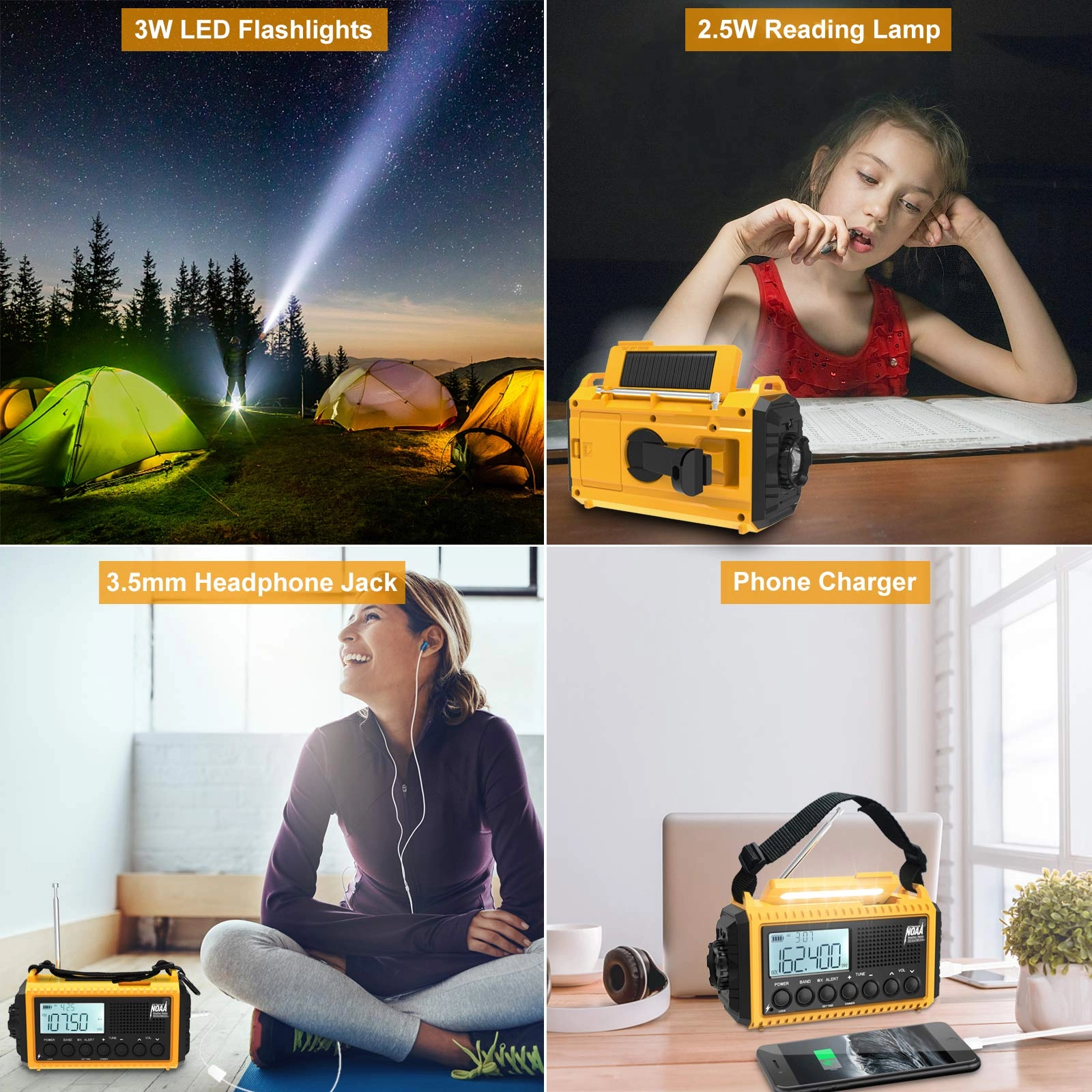 CR1009Pro - Portable radio