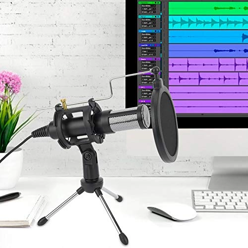 TAEKHW USB Microphone Kit