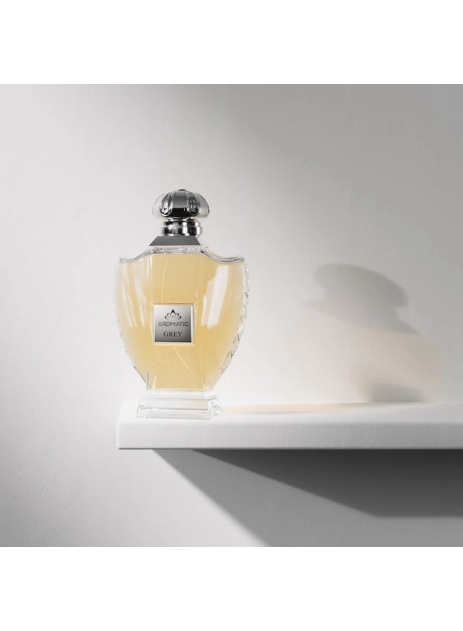 Aromatic Grey Eau de Parfum 90 ml