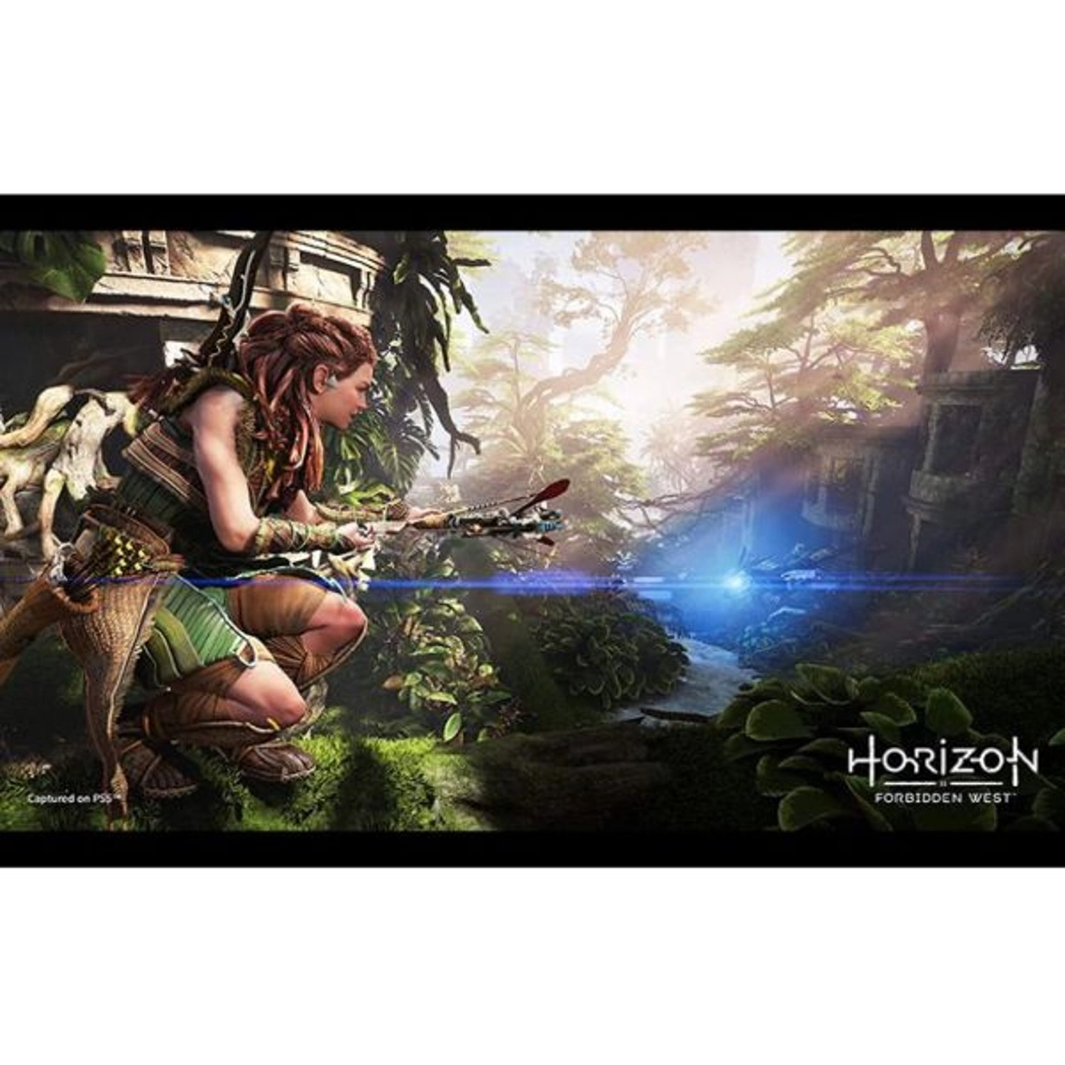 Horizon Forbidden West Steelbook Edition - PlayStation 5