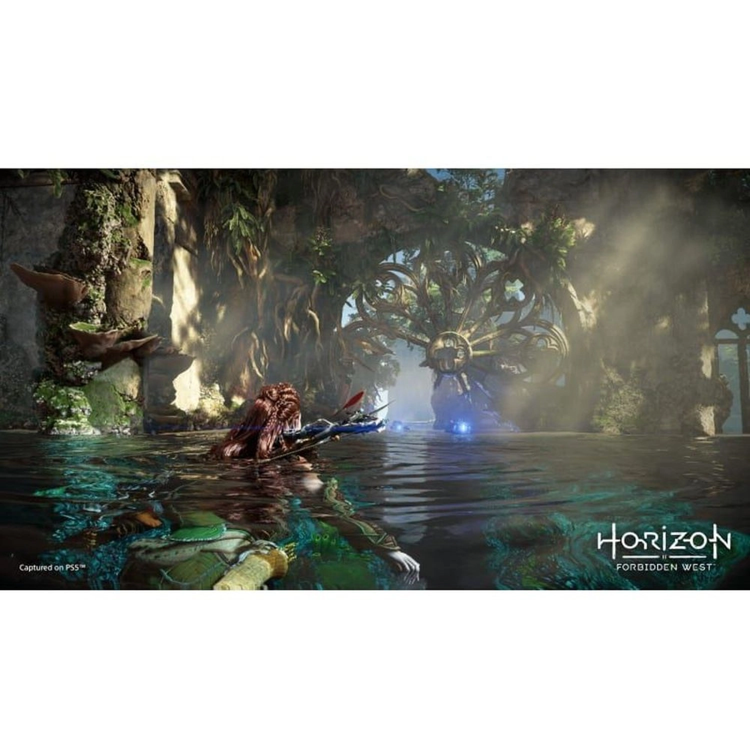 HORIZON FORBIDDEN WEST - PlayStation 4