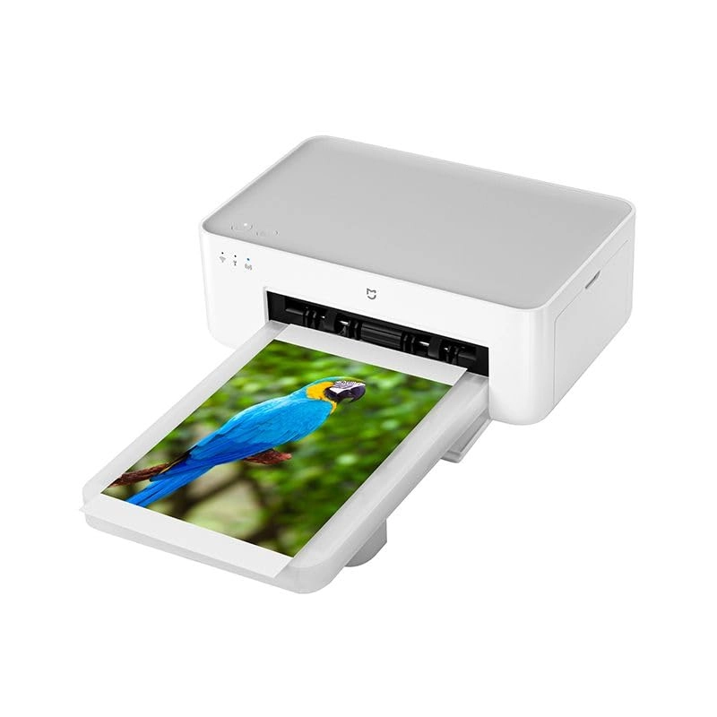 Hannto Technology Co., Ltd Instant Photo Printer 1S - 6 X 3 300 X 300