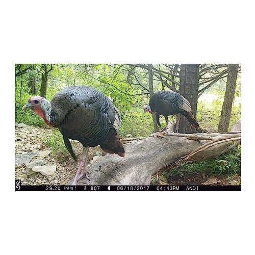 Dark Ops Pro X 1080 - 24MP