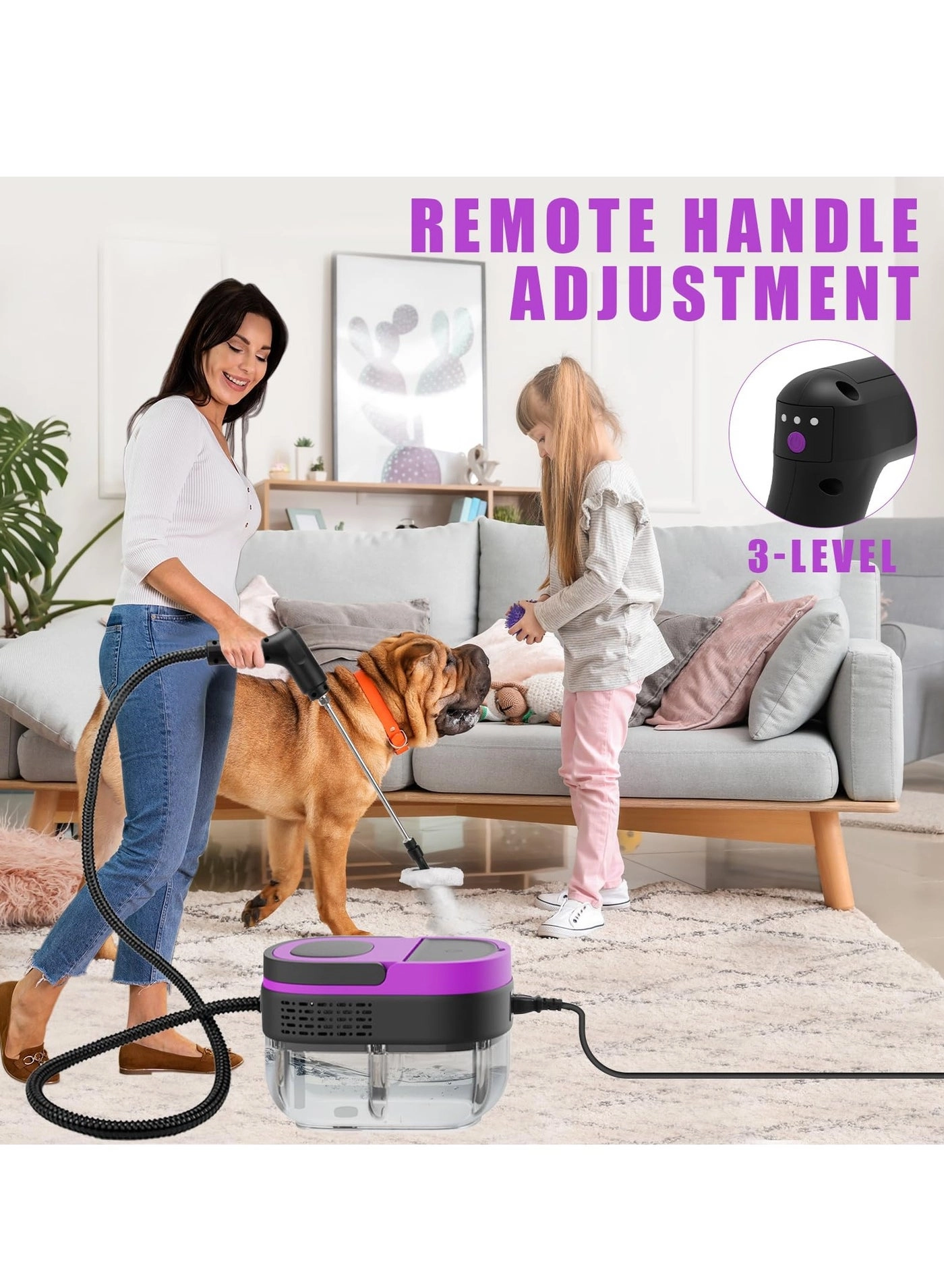 Steam Cleaner - 1000ML