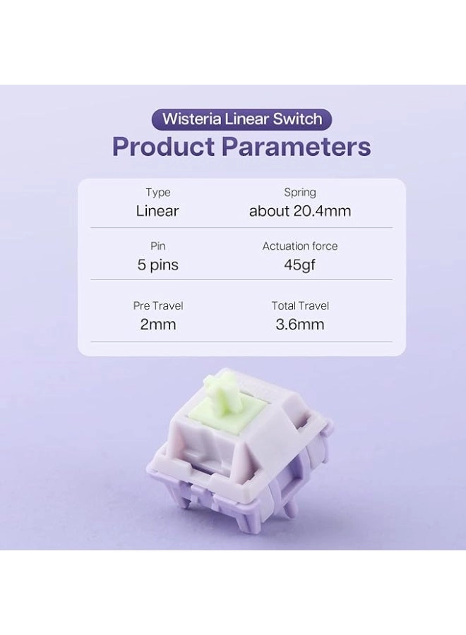 Wisteria - 30 Pieces