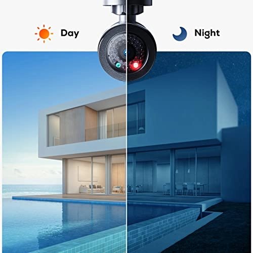 Dummy - Indoor Outdoor Pack