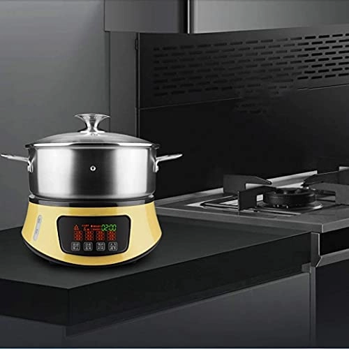 DoubleLayer Electric Food Steamer - 8L