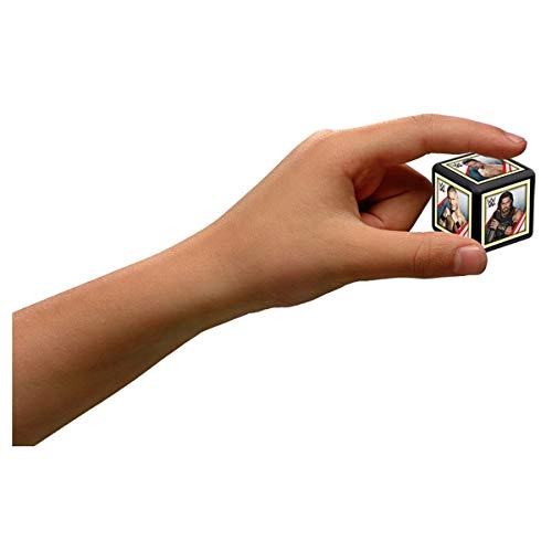 WWE Superstars & Legends Match