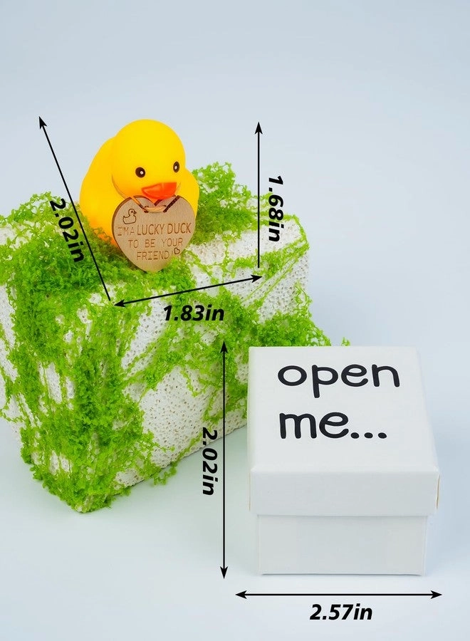 Lucky Duck - Mini Rubber Gift Set