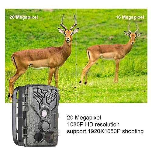 Wildlife Hunting Camera - 5MP