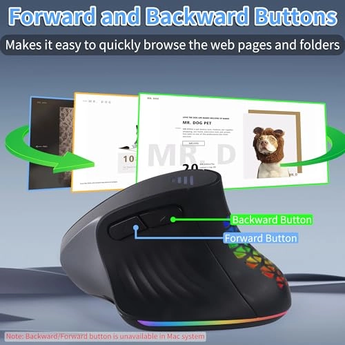 Vertical Ergonomic Mouse - Bluetooth & Wireless Dual Modes