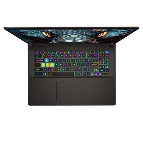 Vector 17 HX A14VHG - 17'' 1 TB 32 GB Intel Core i9-14900HX