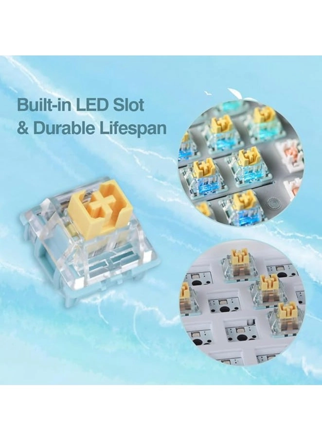 Sea Salt Mechanical Switches - 35 piece(s)