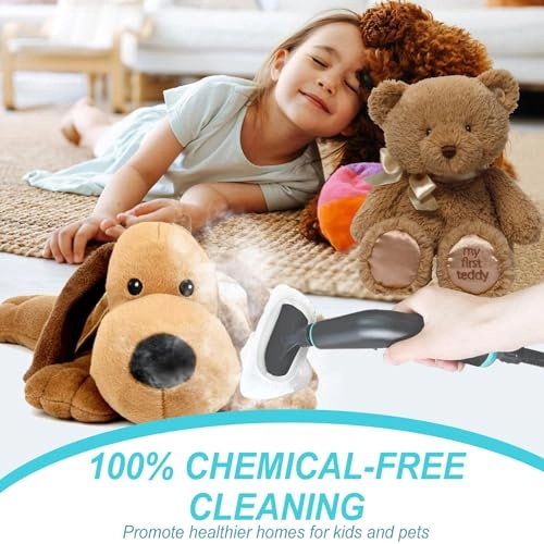 Hand Held Steam Cleaner
