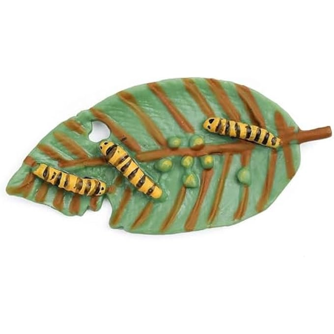 Butterfly Life Cycle Biology - 18 months - 3 years