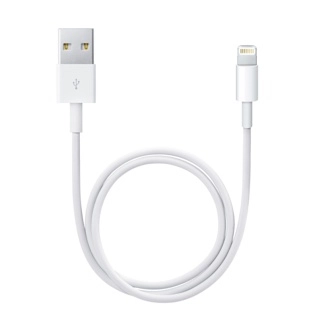 Apple Me291 Lightning To Usb Lightning to Usb Cable 0.5m