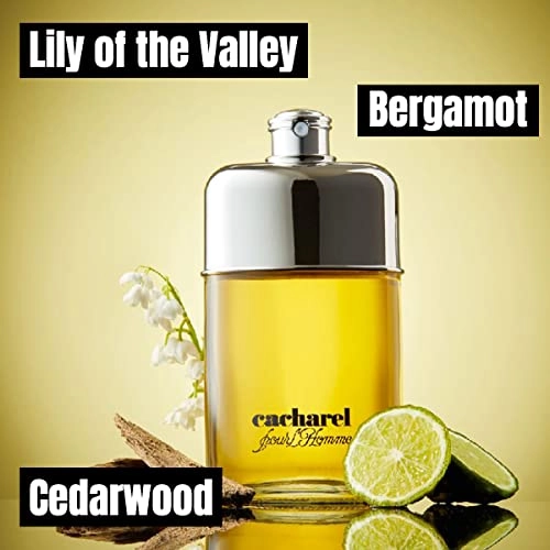 pour l'Homme Eau de Toilette 100 ml