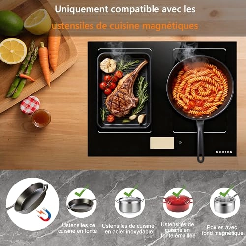 NTI-M47297-F2-DE Induction hob