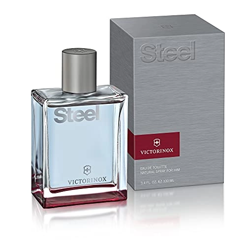 Steel Eau de Toilette 100 ml