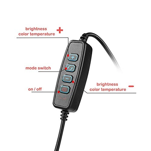 Ring Light LED - 6" Tripod 3 Light Modes