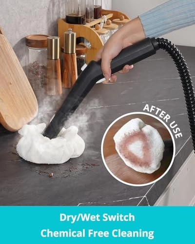 Steam Cleaner - 0.66 Gallons