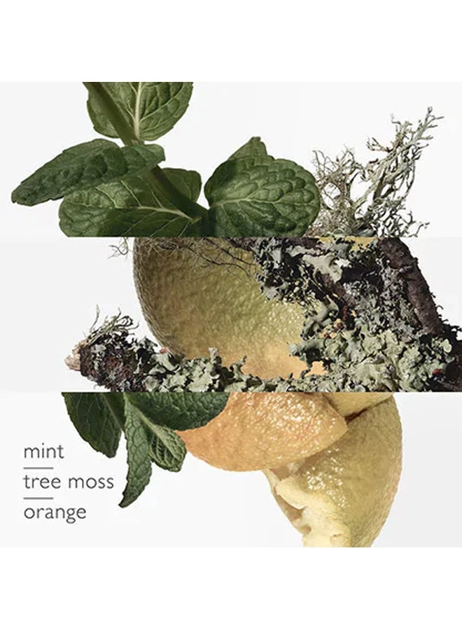 Eau D'Orange - 100ml