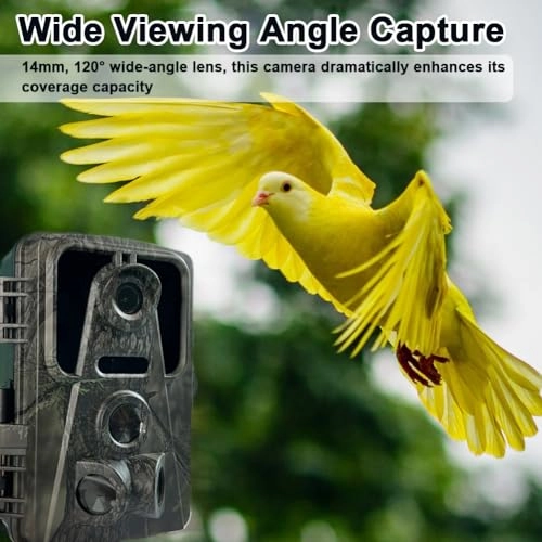 Trail Camera - 16MP