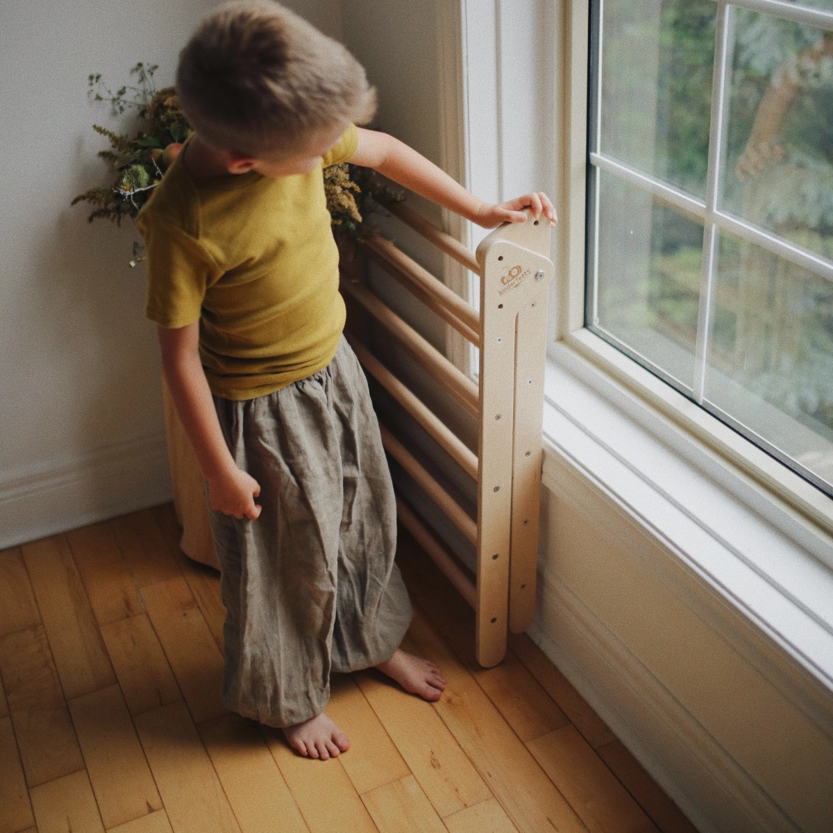 Pikler Climber Triangle - 1+