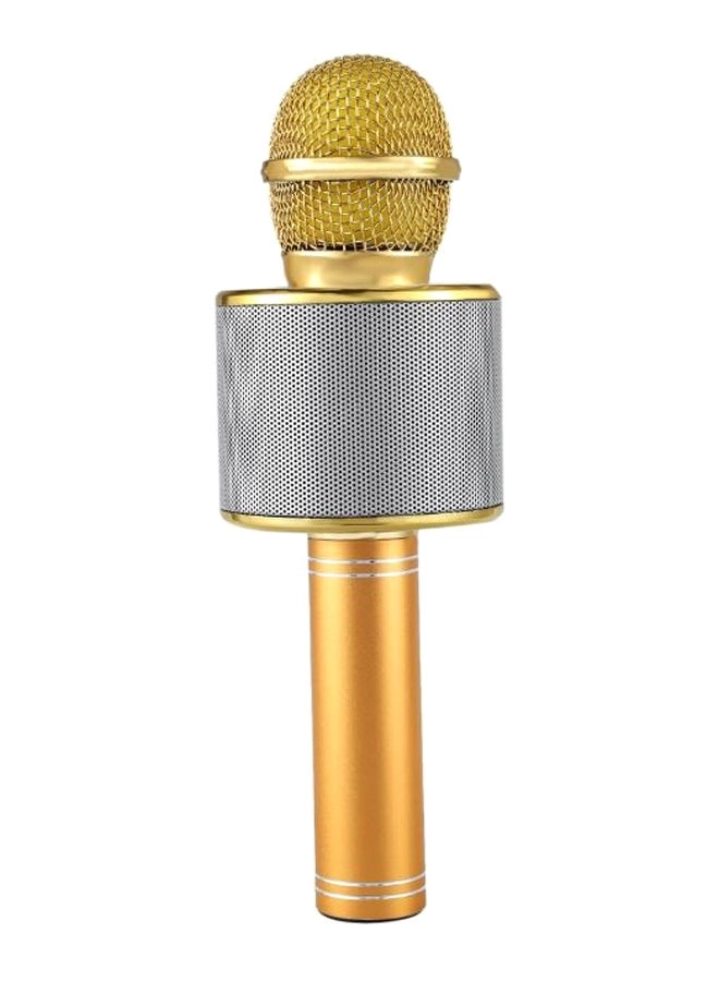 Karaoke Microphone - v4.0 1800 mAh Gold/Silver