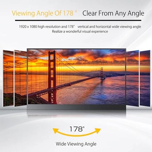 Portable Display - HD 14 Inches