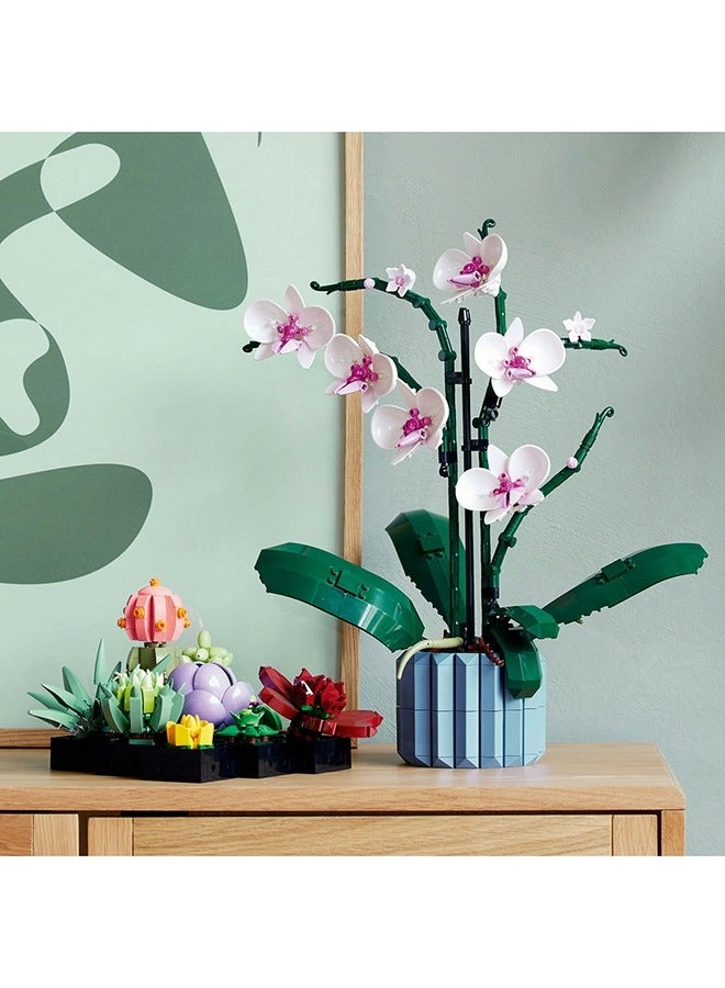 Succulents (10309) - Flowers