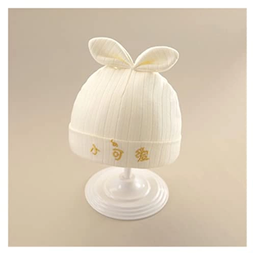 Portable polishing machine - 1200W 100mm