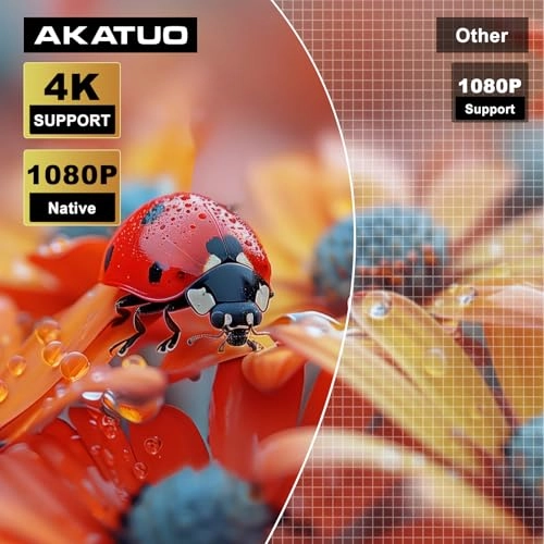 Mini Projektor - 10,000 lumens 1920 x 1080 Pixels