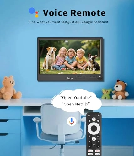 FH-14 Inch - 1080p 14 Inches