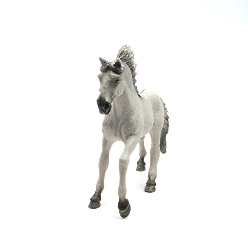Sorraia Mustang Stallion - 48.0 36