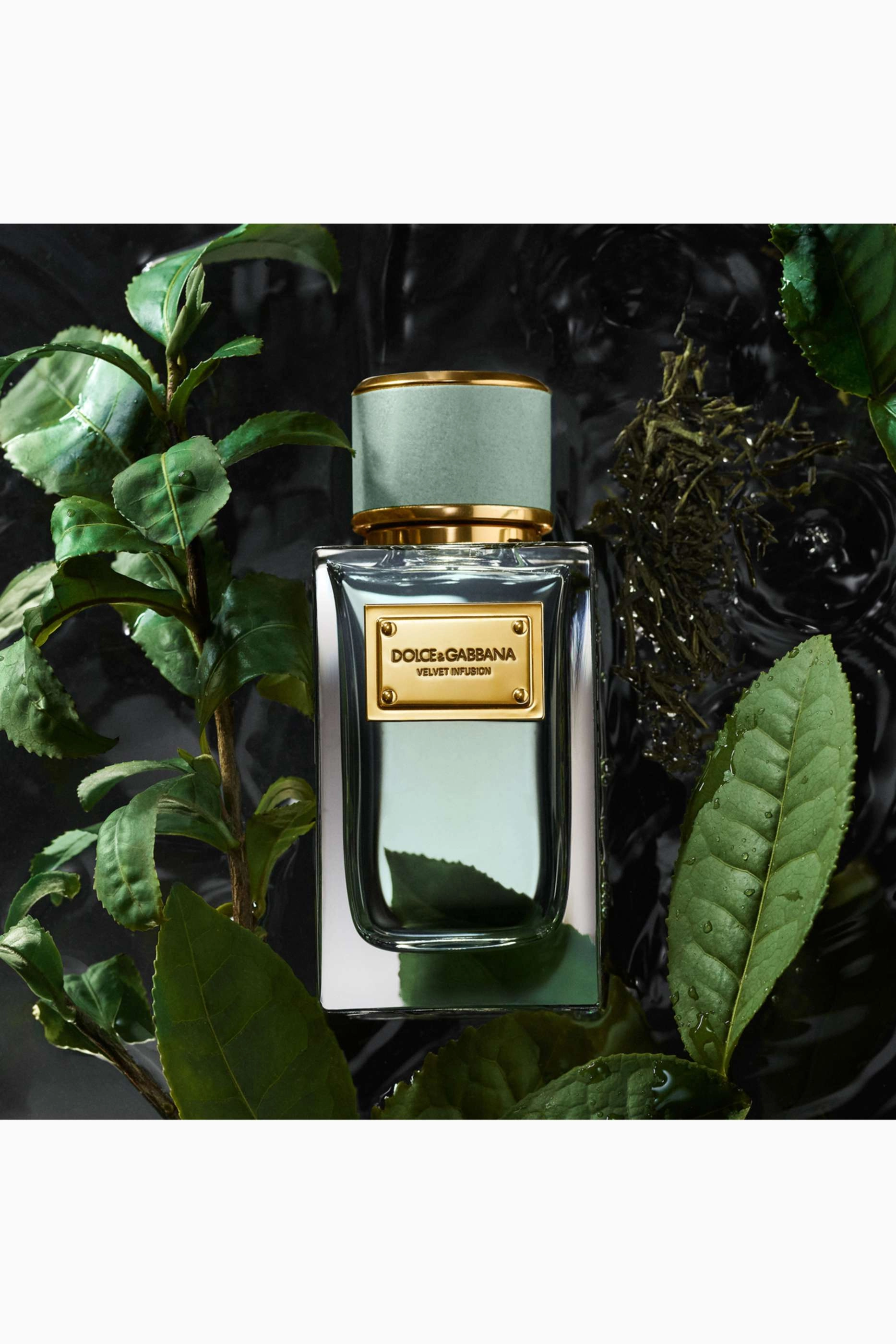 Velvet Infusion Eau de Parfum 100ml