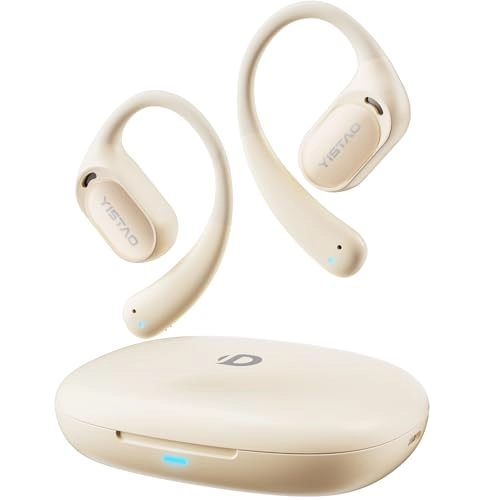 B19 Wireless Earbud