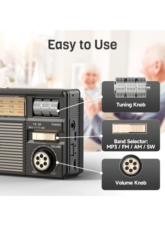Bluetooth Radio Speaker - FM