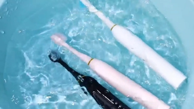 Sonic Electric Toothbrushes - 6 Modes 8 Brush Heads