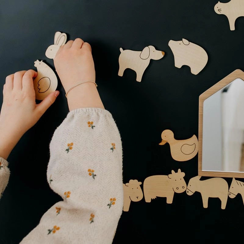 Magnetic Wooden Game - 3 Years 11 pieces