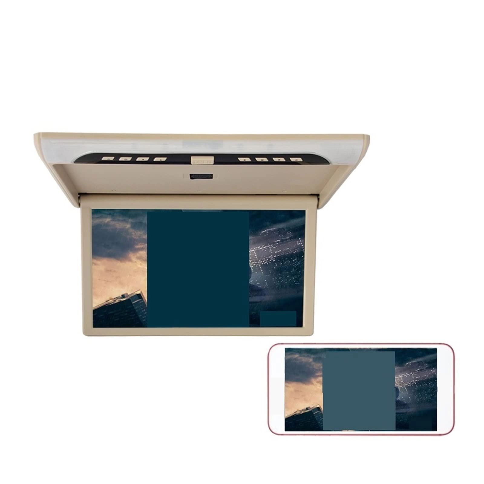 Car Ceiling Display - 19 Inch