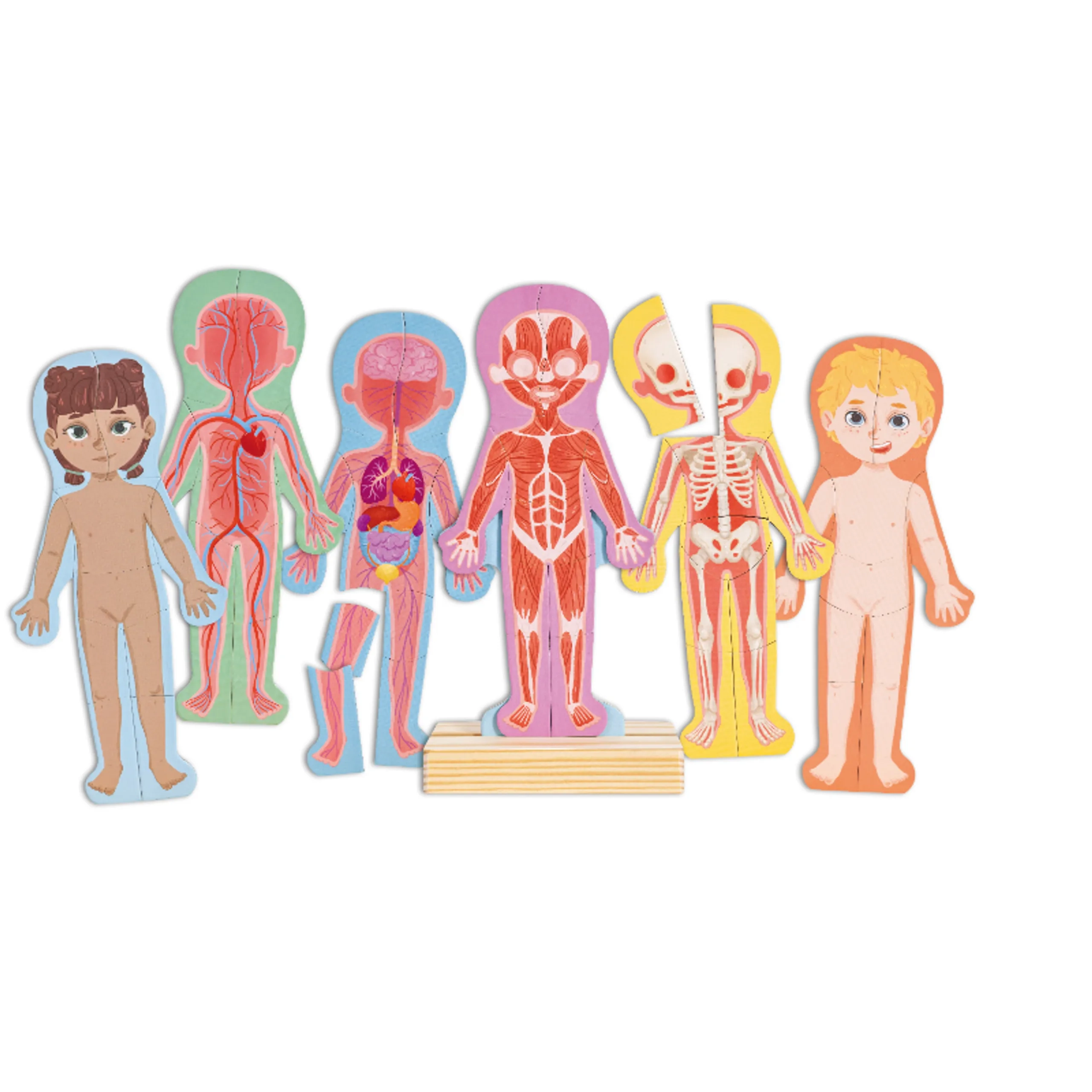 Human Body Parts Magnetic Learning Puzzle - Suitable for 3-4 years 68pcs