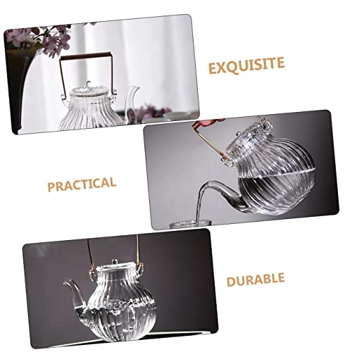 Gooseneck Tea Pot - borosilicate glass 800 ml